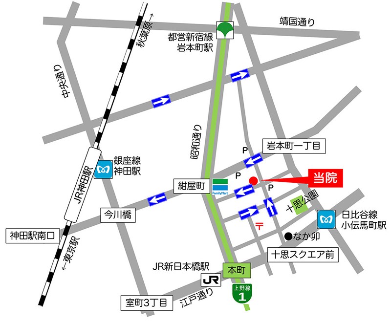 当院周辺の地図。昭和通りと江戸通りの交差点付近、十思公園そばに位置しています。